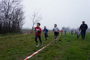 DSC00650 DSC00650